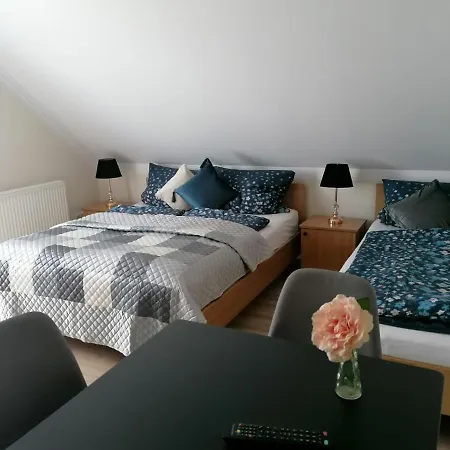 Pensjonat Amor ゲストハウス 3*