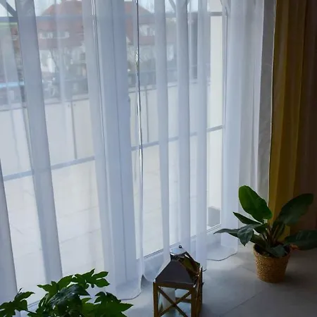 Pensjonat Amor ゲストハウス 3*