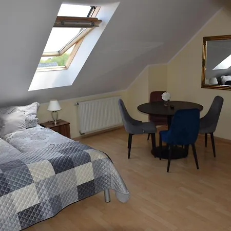 ゲストハウス Pensjonat Amor 3*