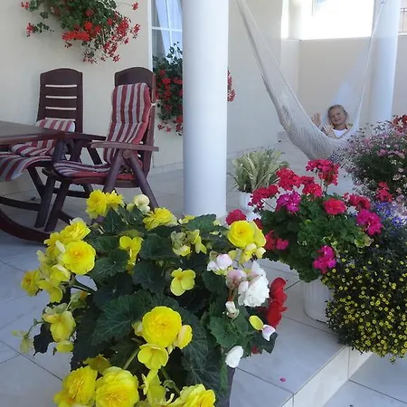 ゲストハウス Pensjonat Amor ミエルノ